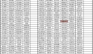 Niğbaş ve Çemaş Ana Pazarda , IEYHO Yıldız Pazarda İşlem Görecek.