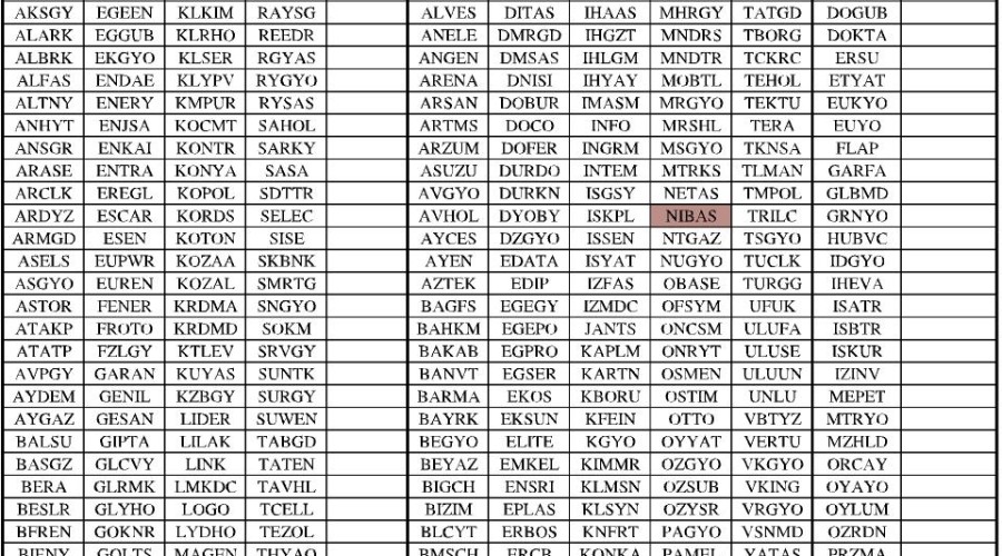 Niğbaş ve Çemaş Ana Pazarda , IEYHO Yıldız Pazarda İşlem Görecek.